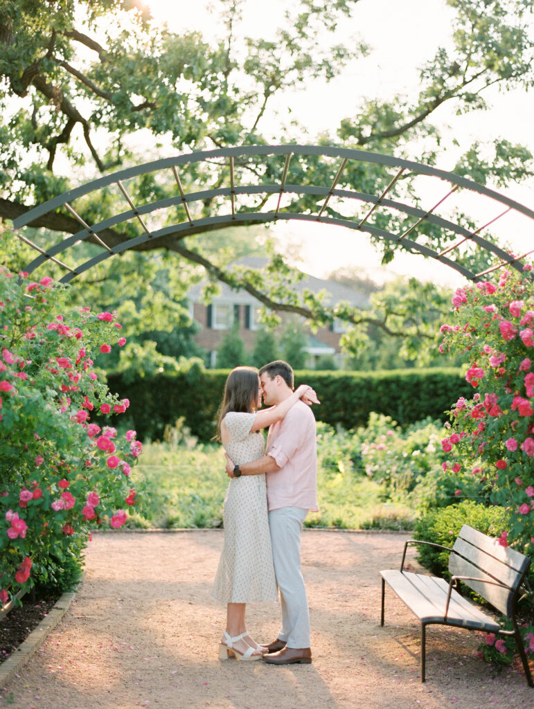 Couple is kissing in a rose garden at sunset