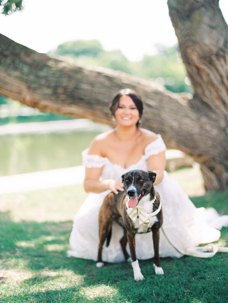 Chicago engagement and wedding photos with dogs